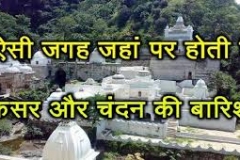 kesar